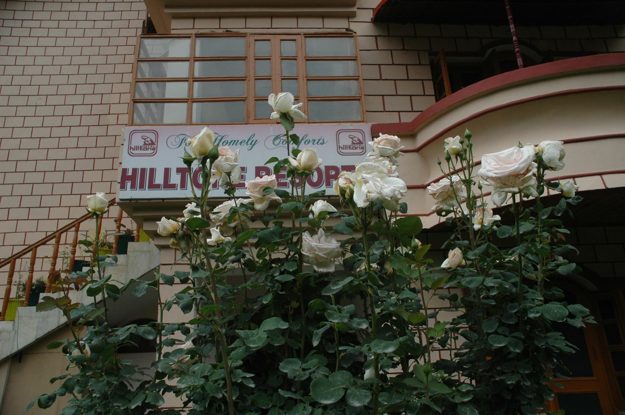 Hilltone Resorts & Spa Manāli Zewnętrze zdjęcie